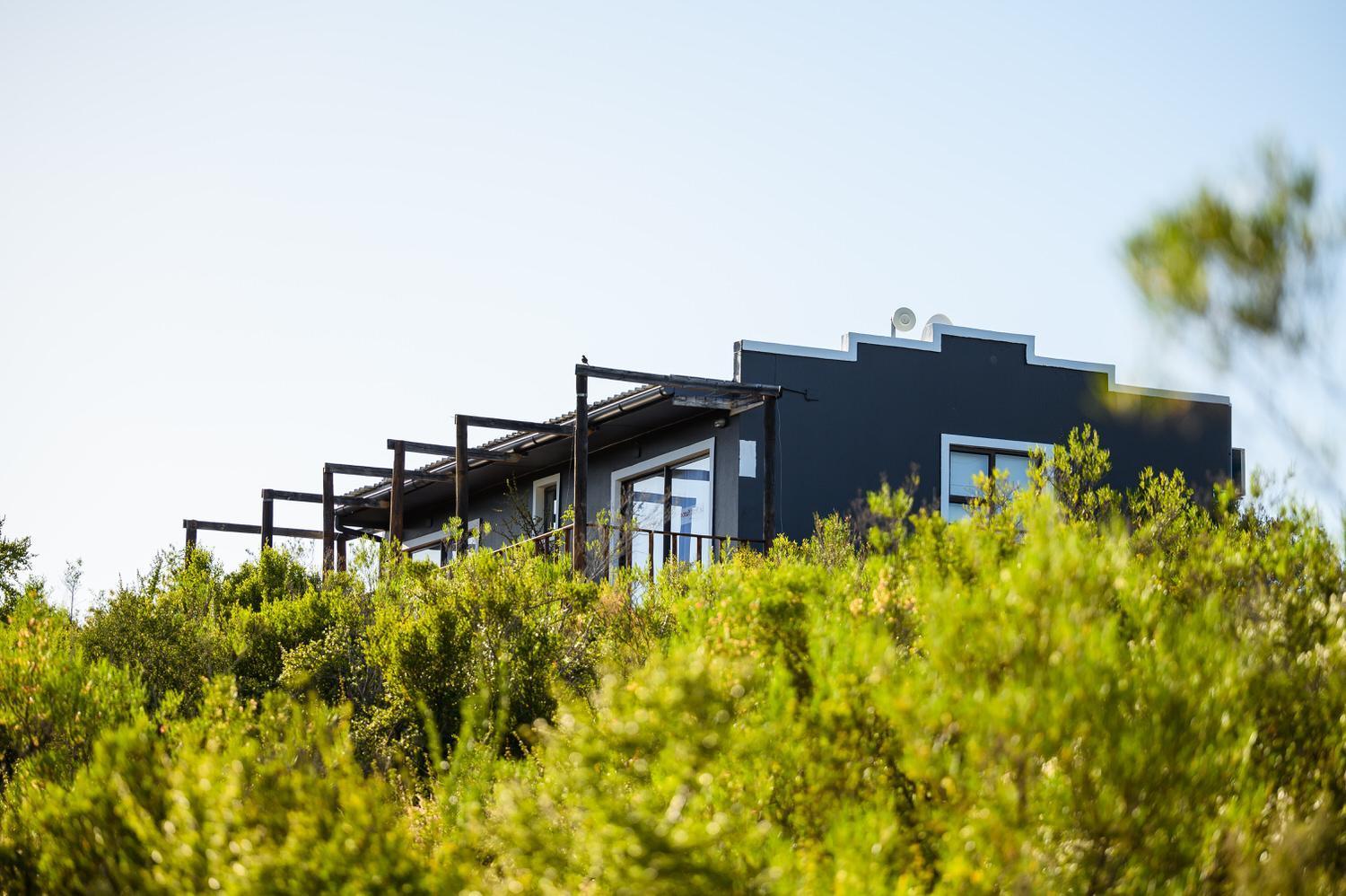 Le Petit Karoo Ranch Bed & Breakfast Oudtshoorn Dış mekan fotoğraf